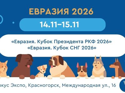 ЕВРАЗИЯ 2026