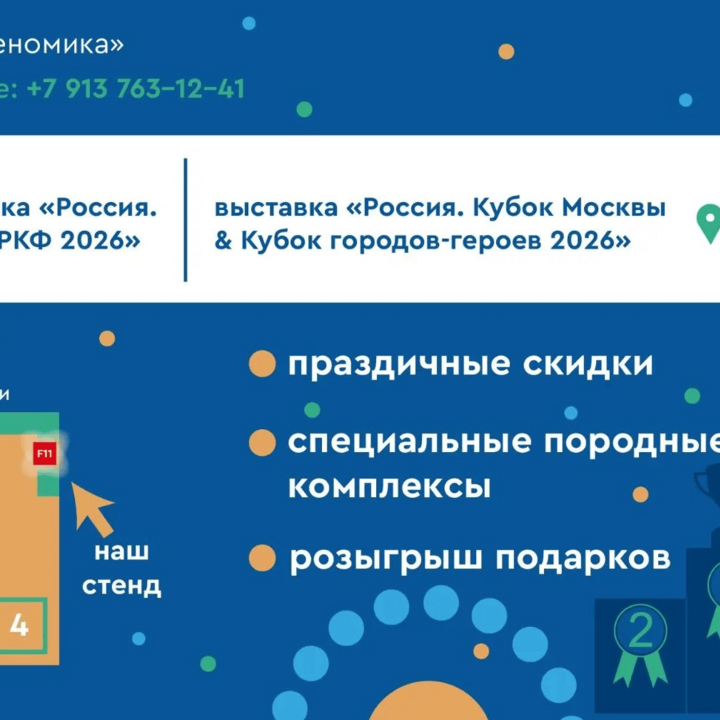Схема расположения стенда на России 2026
