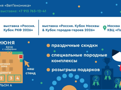 Схема расположения стенда на России 2026