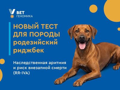 Новый тест для родезийского риджбека