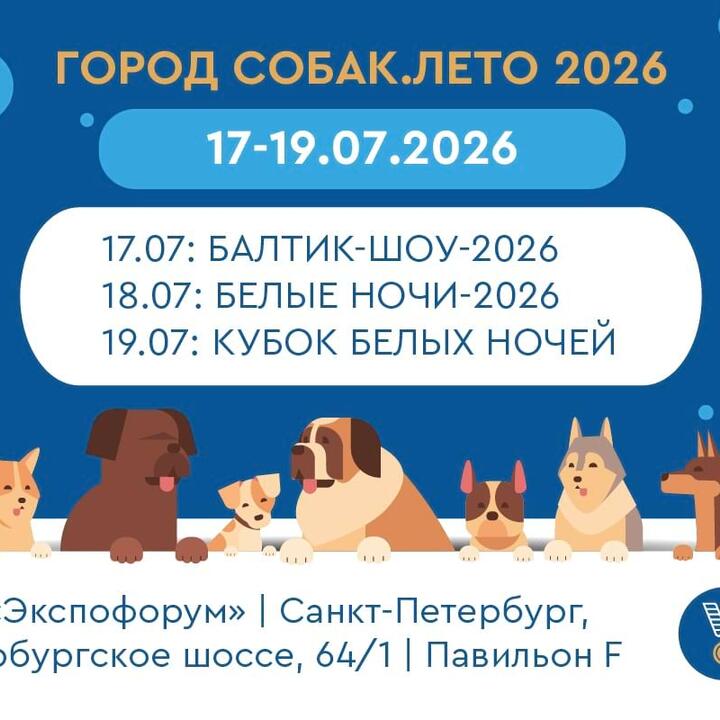 Город Собак. Лето 2026
