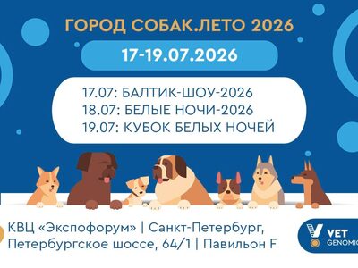Город Собак. Лето 2026