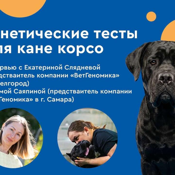 Генетические тесты для кане корсо