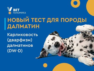 Новый тест для породы далматин