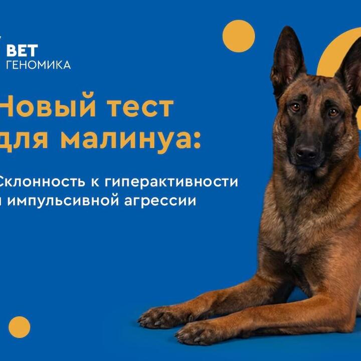 Новый тест для малинуа