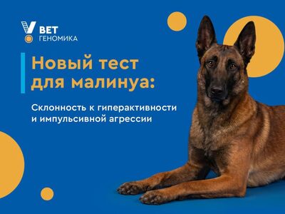 Новый тест для малинуа