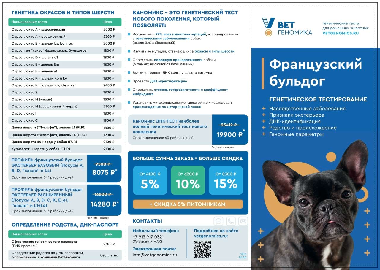 Буклет для породы французский бульдог разворот 2